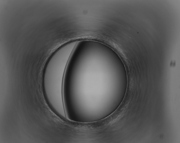X0000091720673200708241021