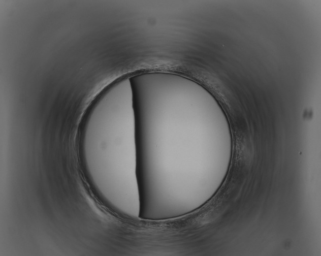 X0000091720674200708241021