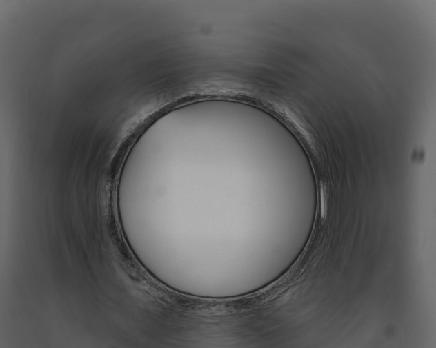 X0000091720675200708241021