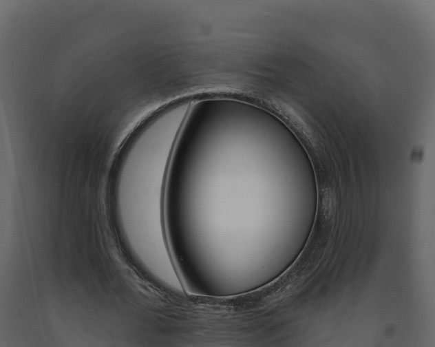 X0000091720676200708241021
