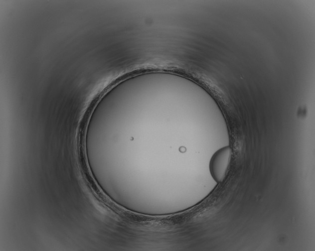 X0000091720678200708241021