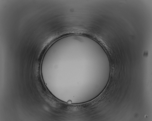 X0000091720679200708241021
