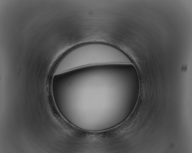 X0000091720680200708241021