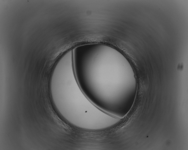 X0000091720681200708241021