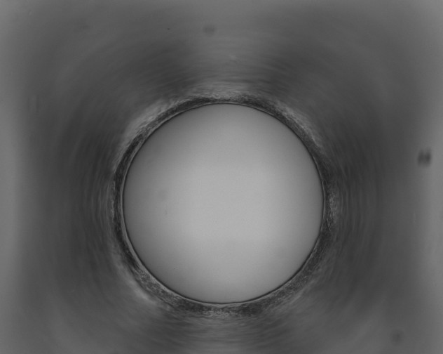 X0000091720682200708241021