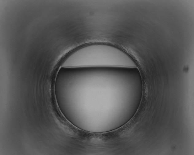 X0000091720684200708241021