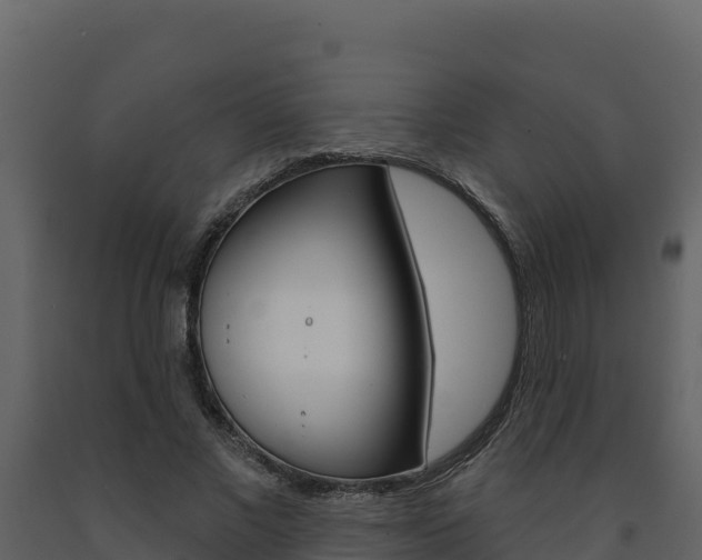 X0000091720685200708241021