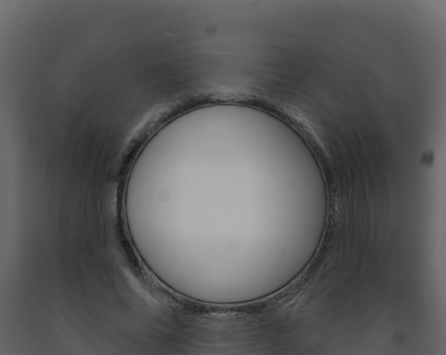 X0000091720686200708241021