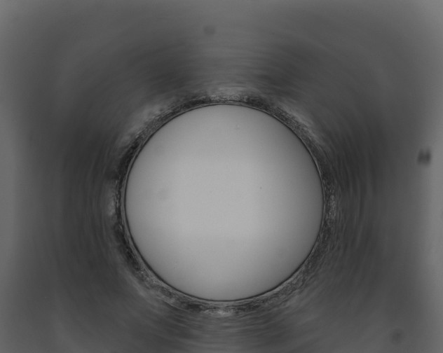 X0000091720687200708241021