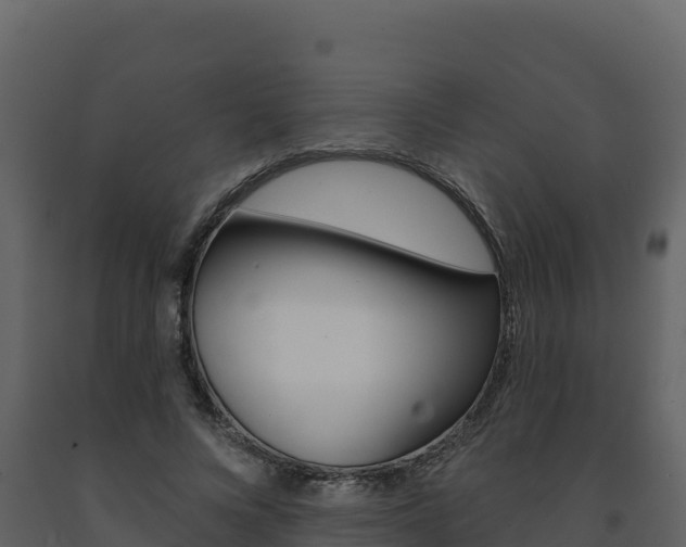 X0000091720688200708241021