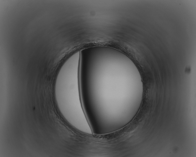 X0000091720689200708241021