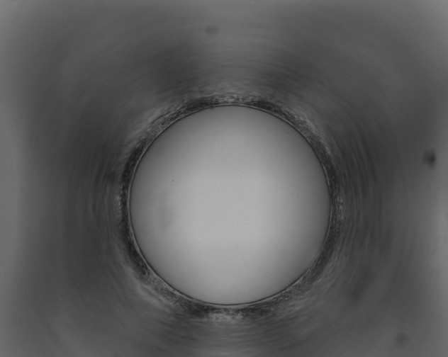 X0000091720690200708241021