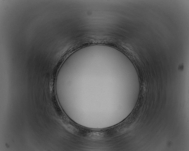 X0000091720691200708241021