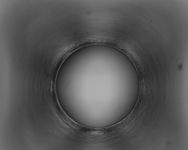X0000091720692200708241021