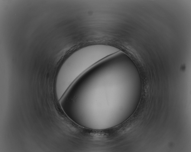 X0000091720693200708241020