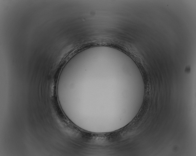 X0000091720694200708241020