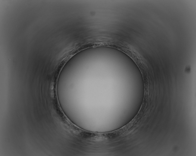 X0000091720696200708241020