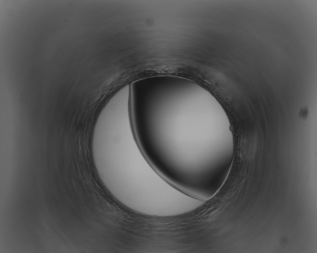 X0000091720697200708241020