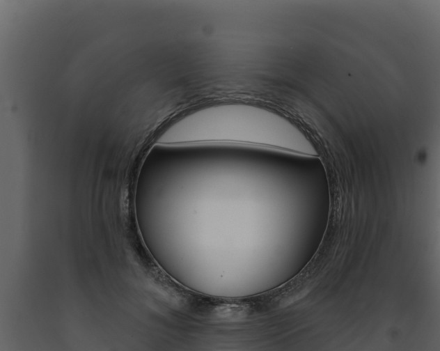X0000091720700200708241020