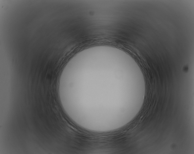 X0000091720701200708241020