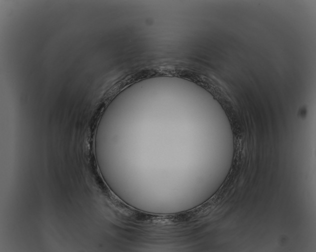 X0000091720702200708241020