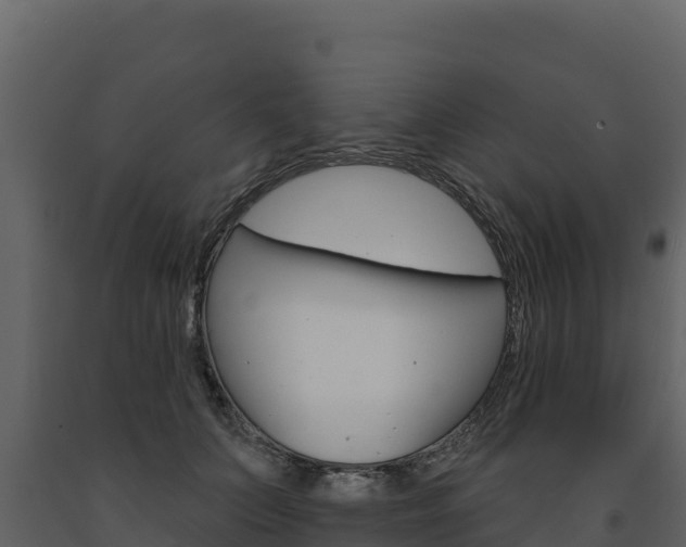 X0000091720703200708241020