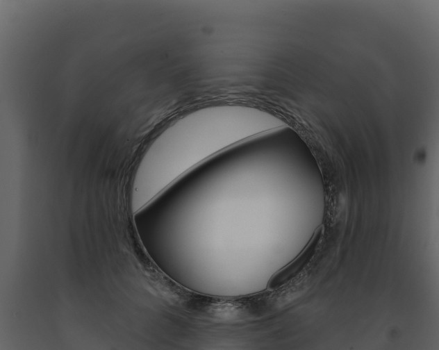 X0000091720704200708241020