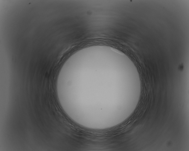 X0000091720705200708241020