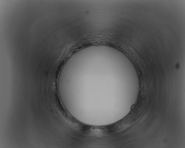 X0000091720706200708241020
