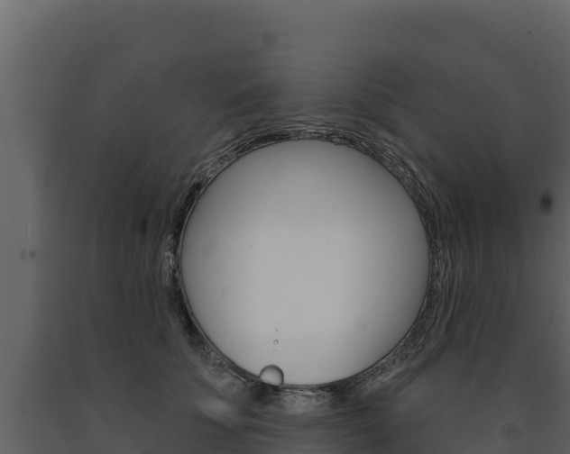 X0000091720707200708241020