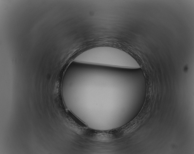 X0000091720708200708241020
