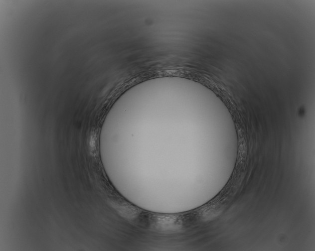 X0000091720709200708241020