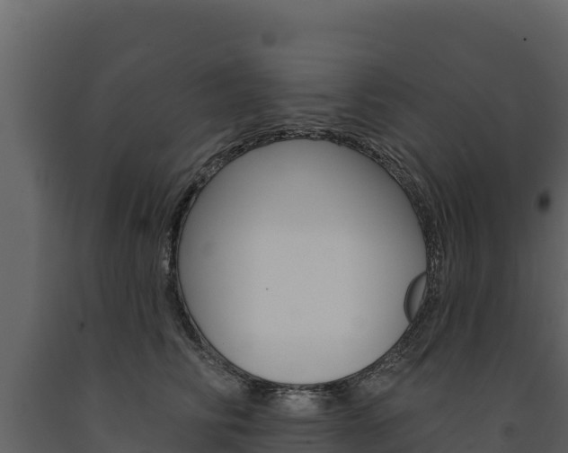 X0000091720710200708241020