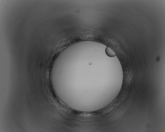 X0000091720711200708241020