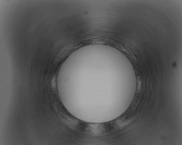 X0000091720713200708241020