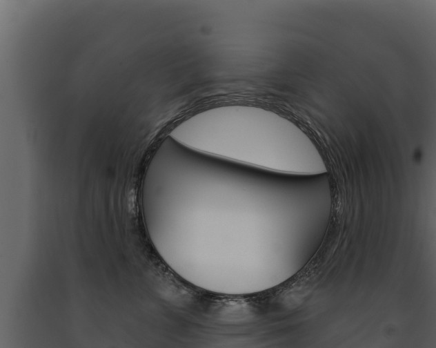 X0000091720715200708241020