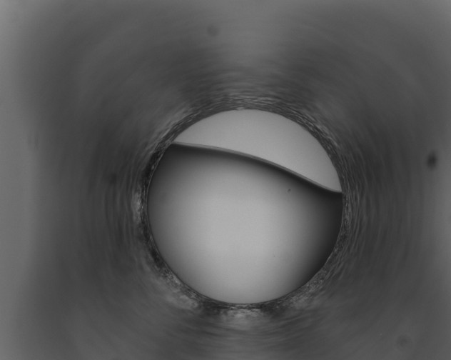 X0000091720716200708241020