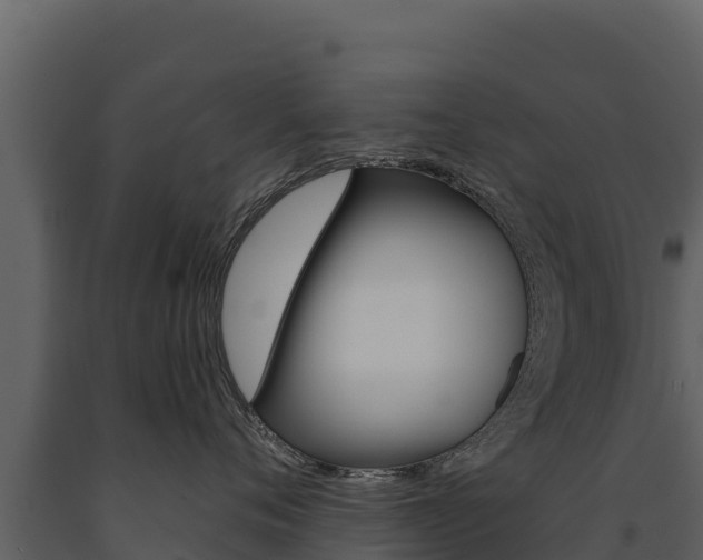 X0000091720720200708241020