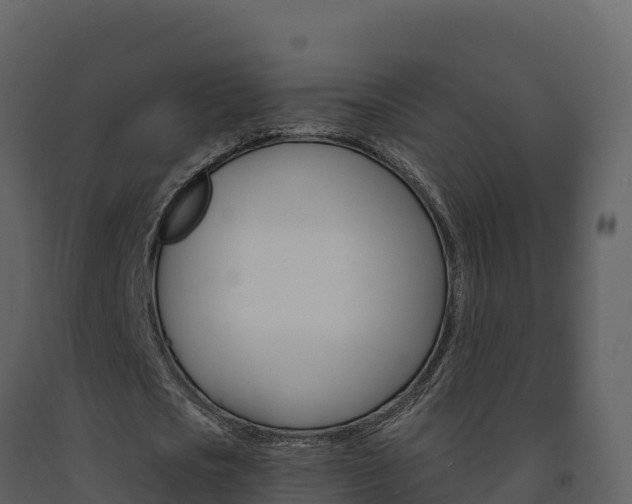 X0000091720721200708241019