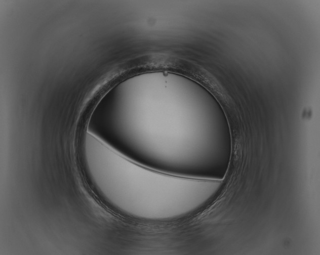 X0000091720722200708241019