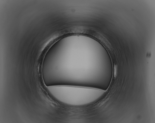 X0000091720723200708241019
