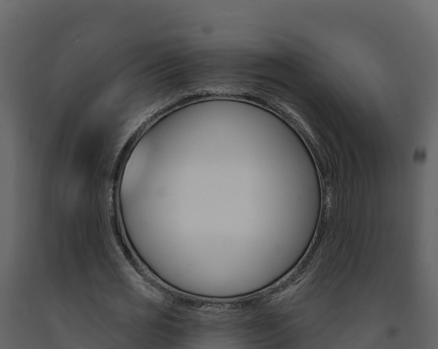 X0000091720725200708241019