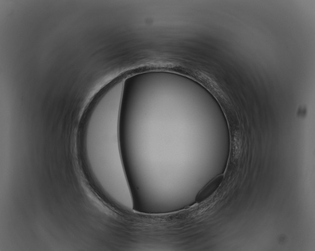 X0000091720726200708241020