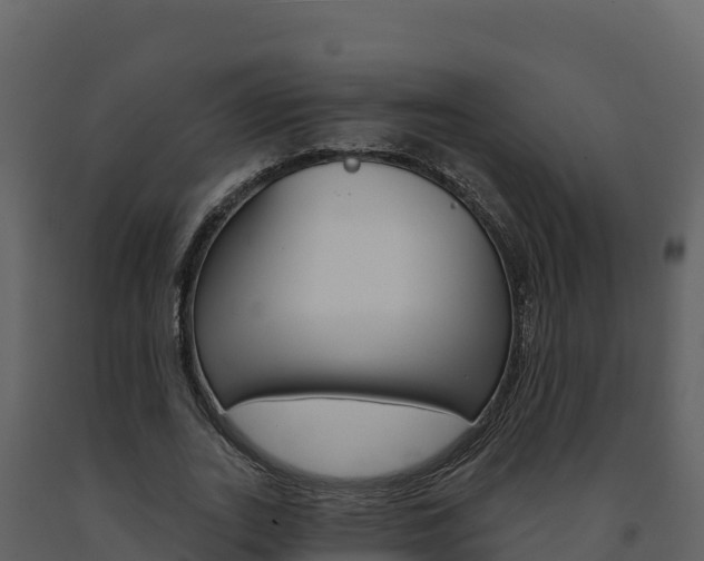 X0000091720727200708241020
