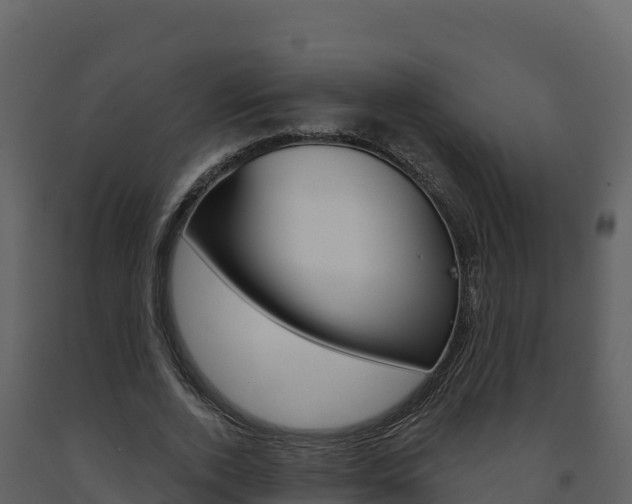 X0000091720728200708241020