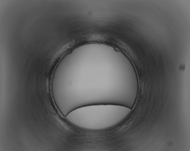 X0000091720729200708241020