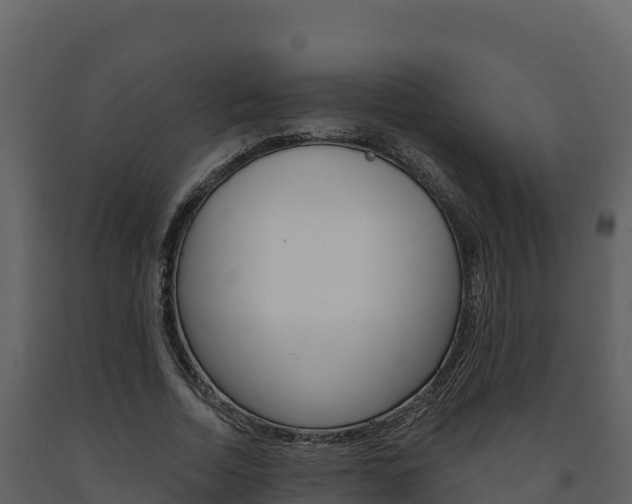 X0000091720730200708241020