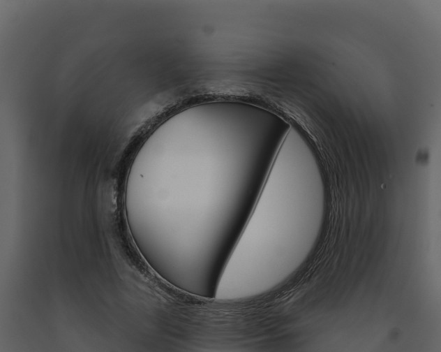 X0000091720731200708241020