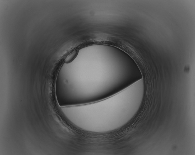 X0000091720732200708241020