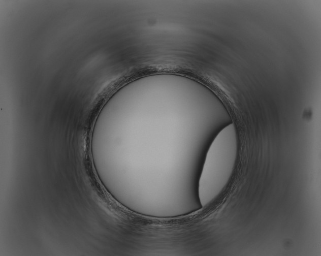 X0000091720733200708241020